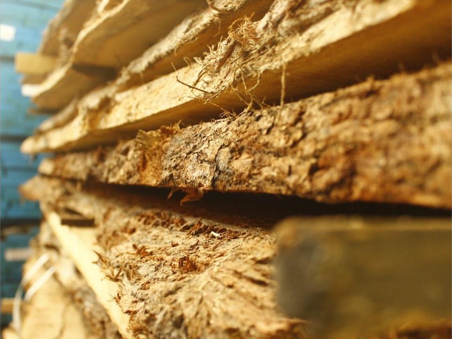Rough-sawn live-edge boards stacked in the mill