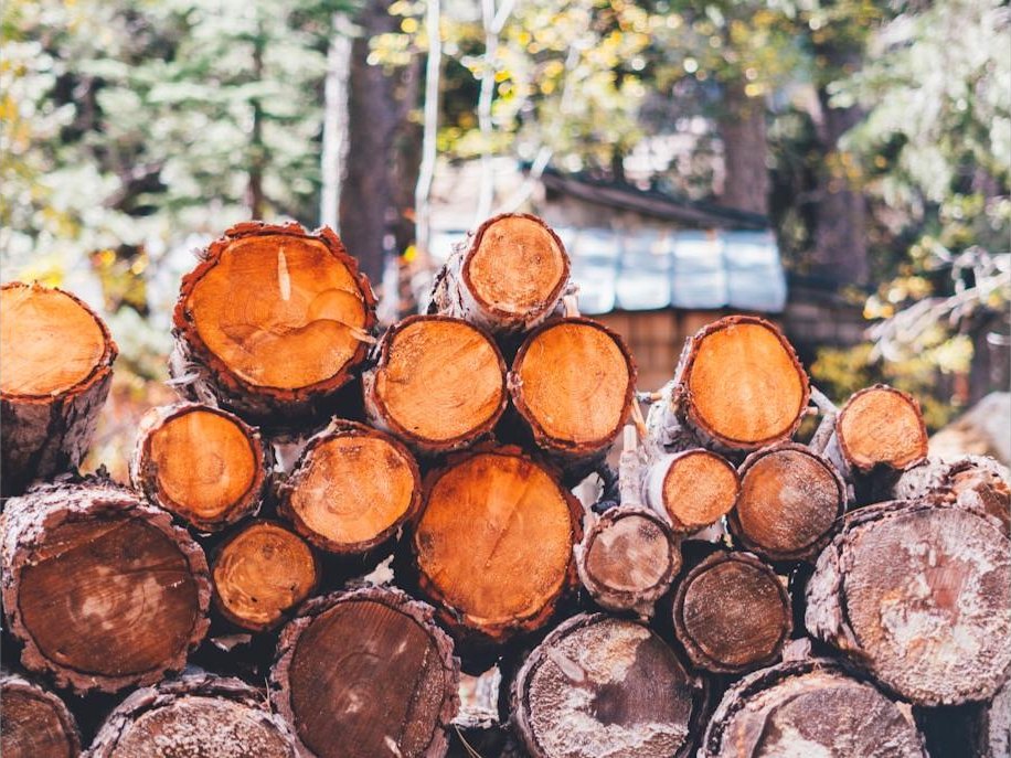 Logs stacked and waiting to be milled