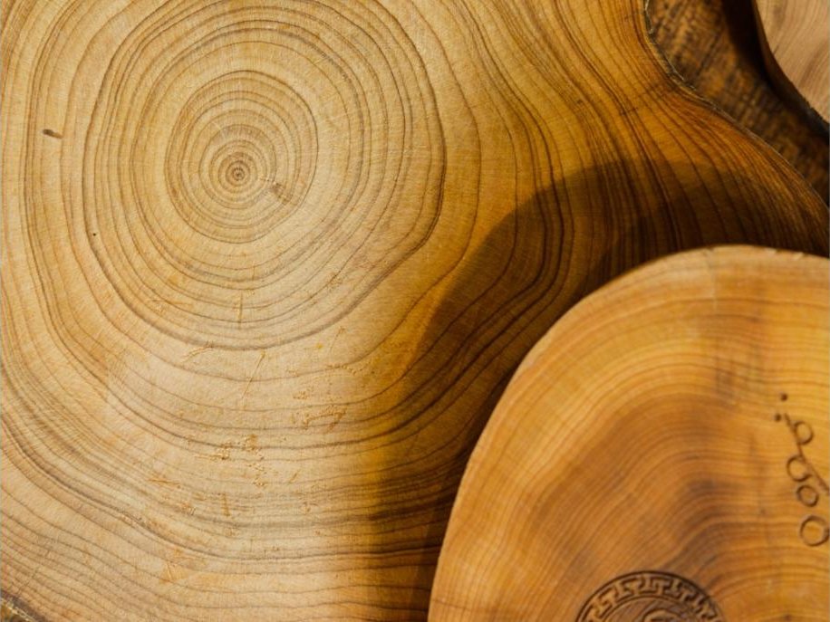 Stack of polished wood rounds