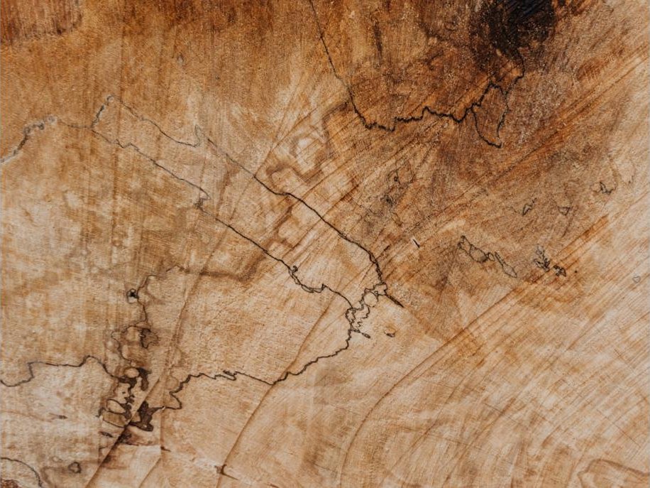 Spalted maple slab with black line figure